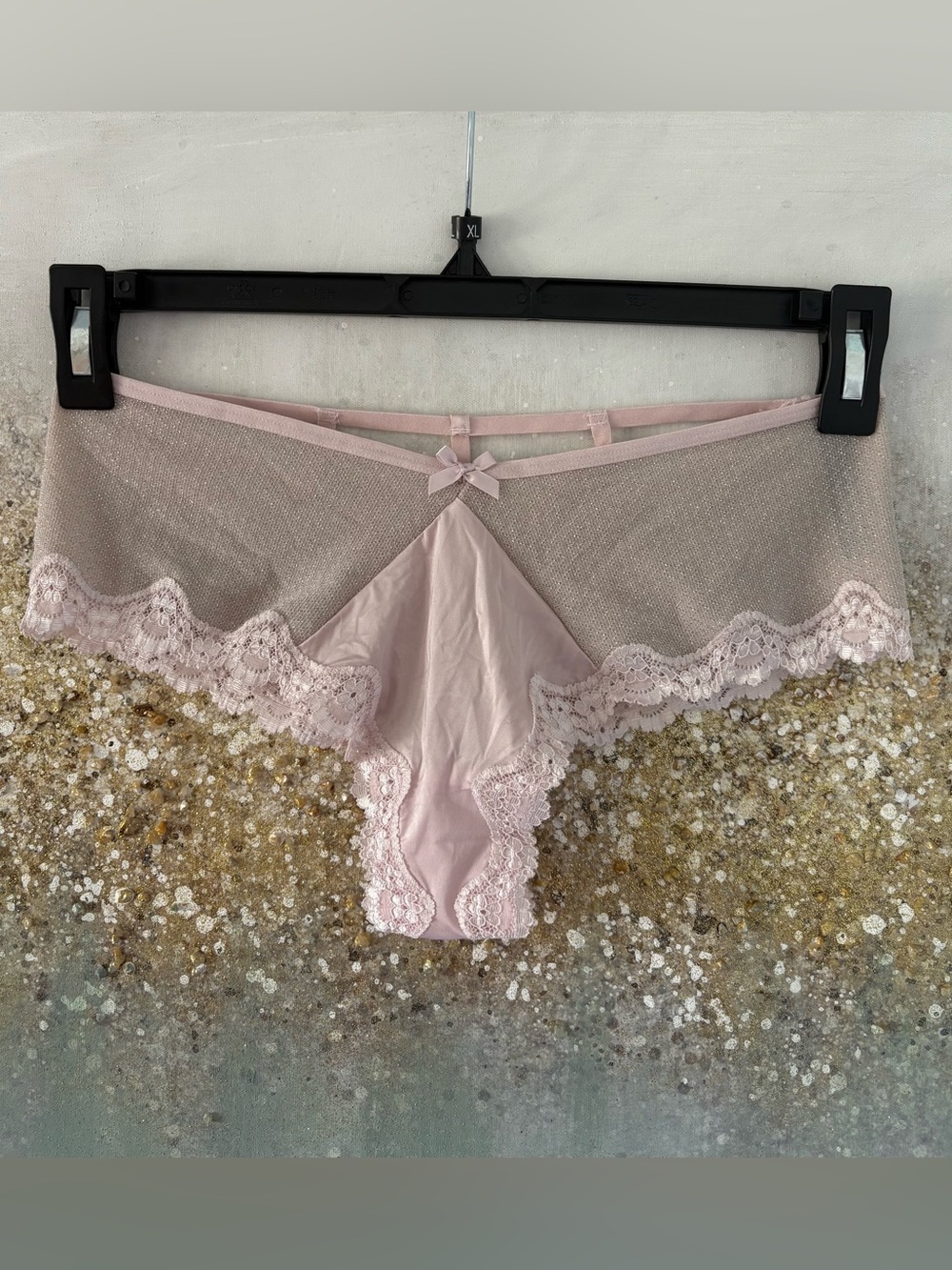 Victoria's Secret Pale Pink Lace Trim Sheer Cheeky Panty (NWOT)
